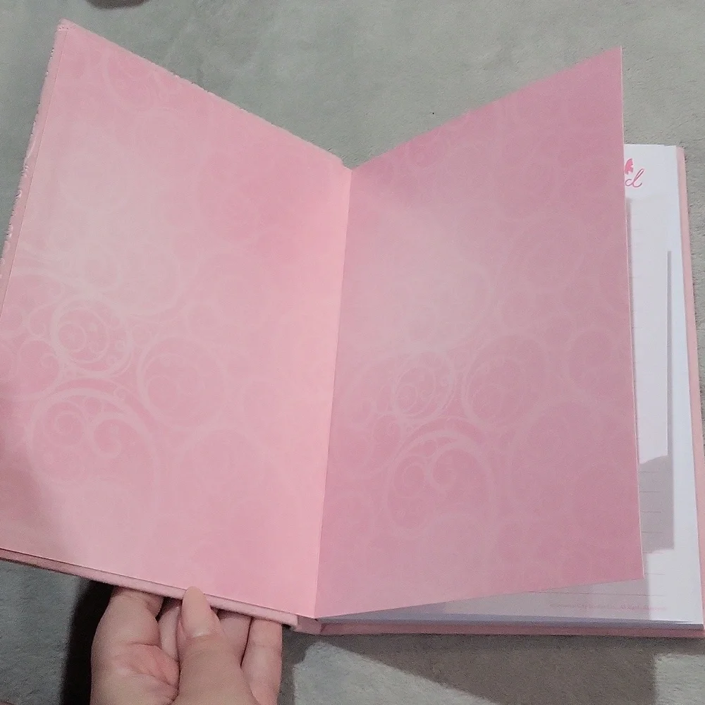 Wicked Pink and Gold 'The Best Witch of All' Journal